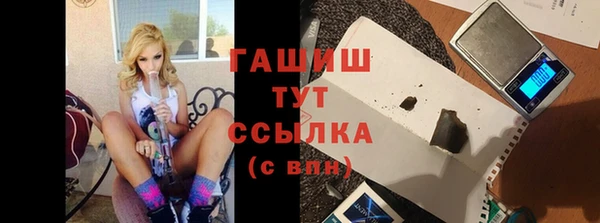СК Пересвет
