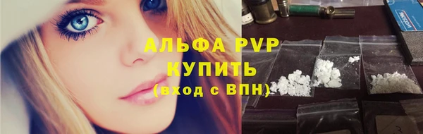СК Пересвет